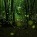 Long Exposure Photographs of Fireflies in the Forests of Nagoya City by Yume Cyan | Colossal