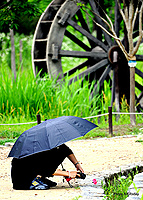 Let No Flower Go Unnoticed