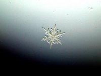 Snowflake No.2