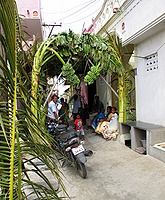 Wedding coconut and banana canopy. Tamil Nadu, India