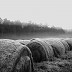 Bales of Fog