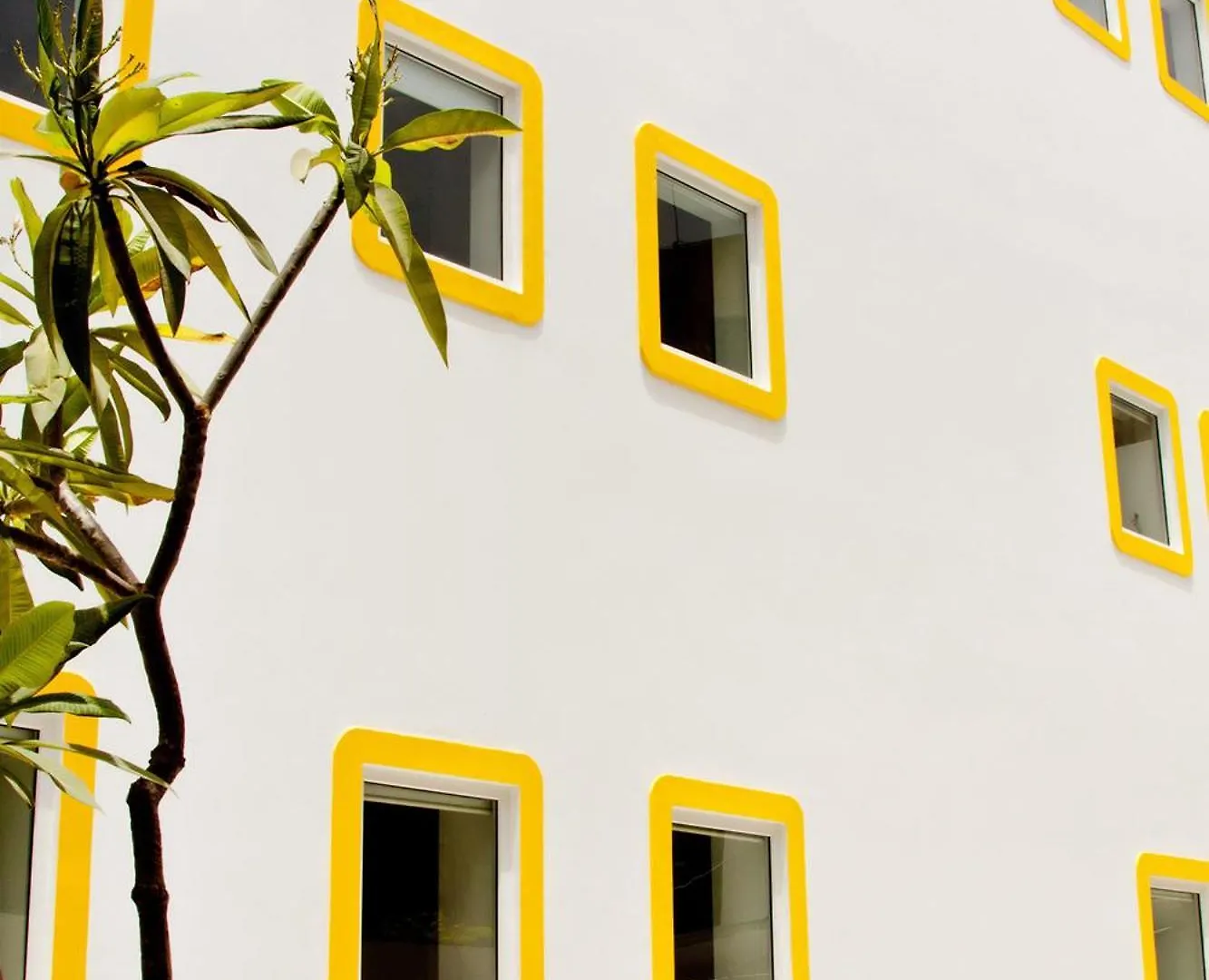 Where to Stay in South Delhi: 15 Best Business Hotels