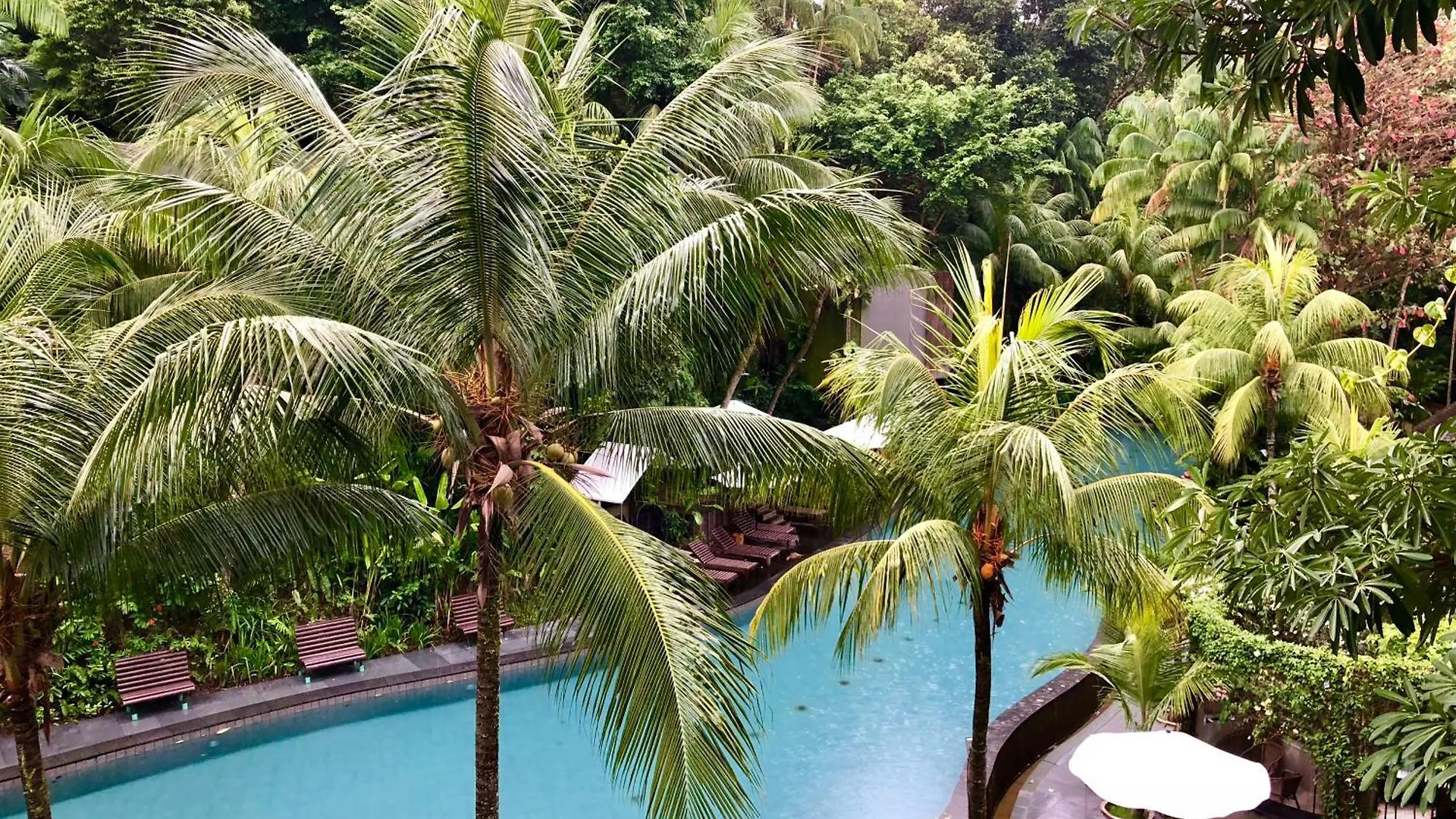 7 Smart Design Hotels in Sentosa Worth Booking