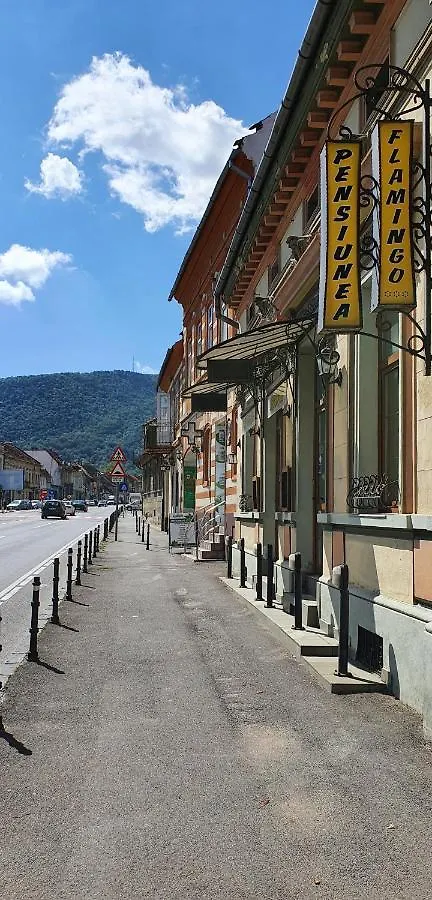 5 Historical Hotels in Brasov Old Town That Stand Out