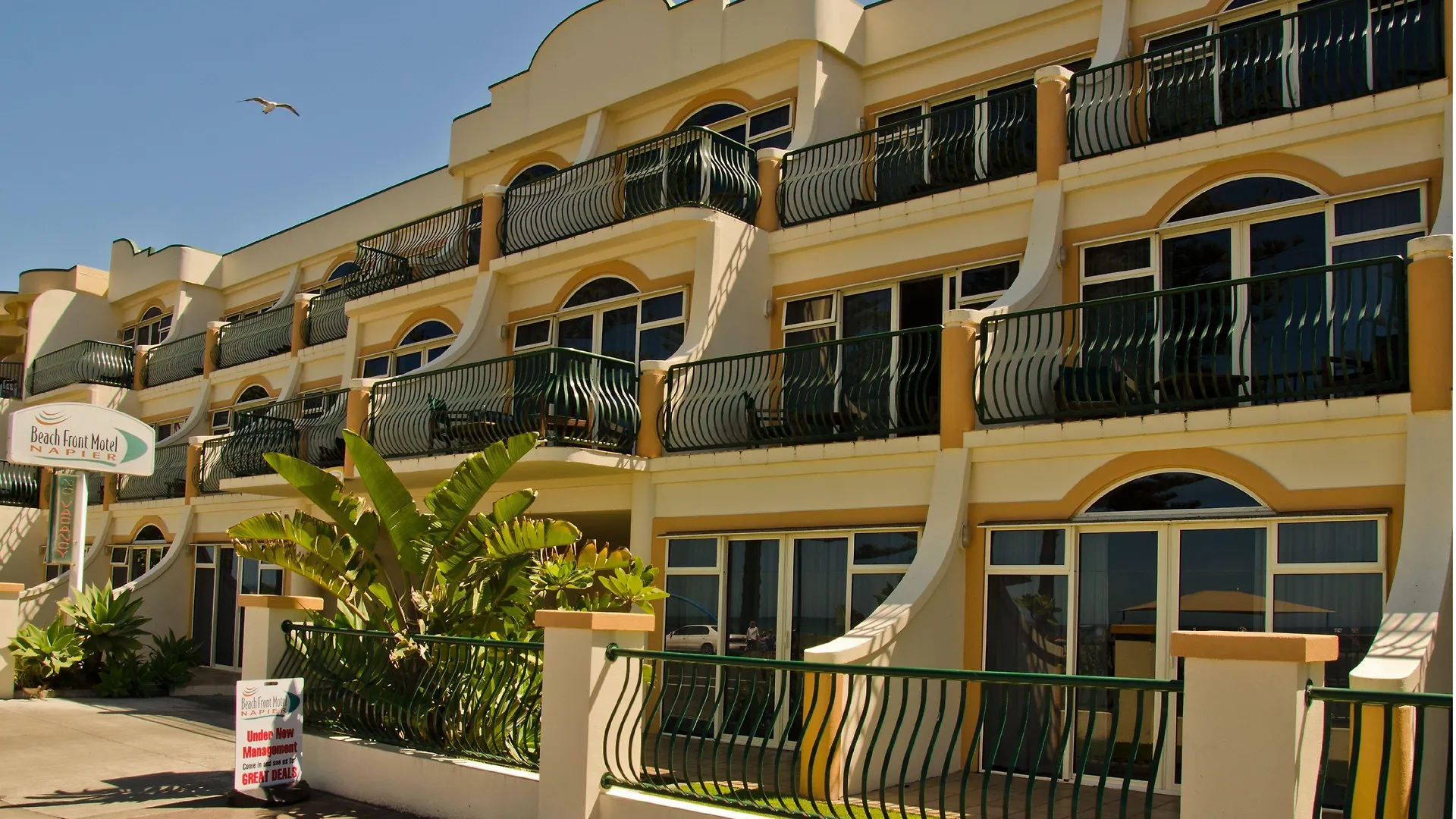 4 Smart Hotels in Marine Parade, Napier Worth Booking