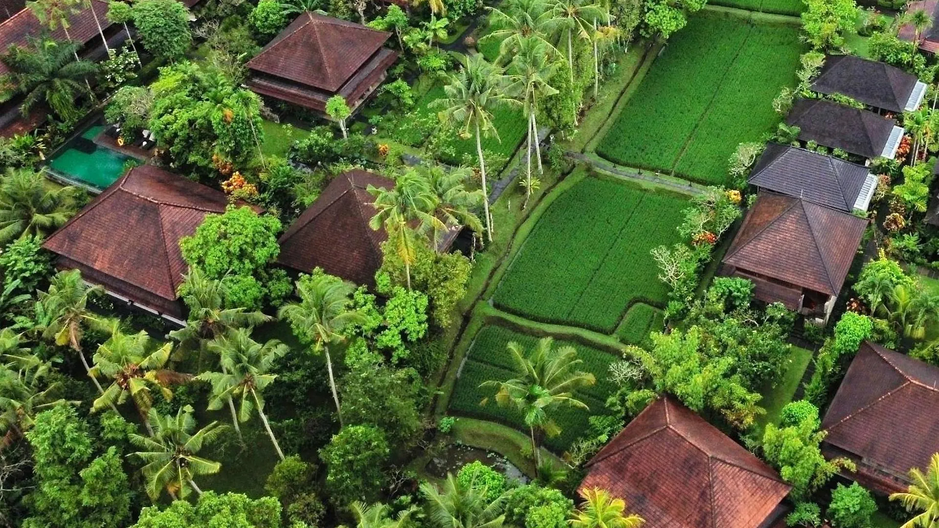 Kedewatan Spa Hotels: 12 Ubud Retreats Compared