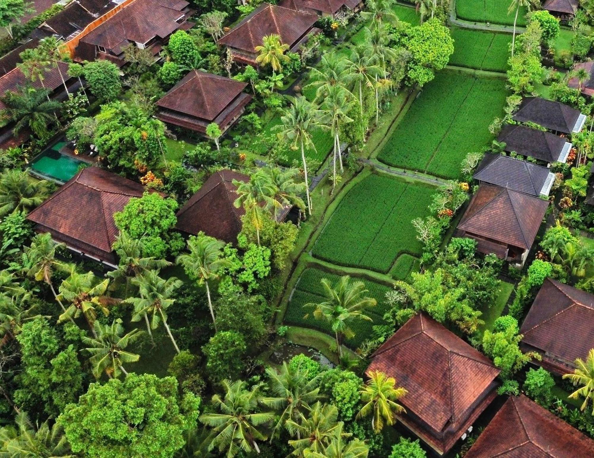 Kedewatan Spa Hotels: 12 Ubud Retreats Compared