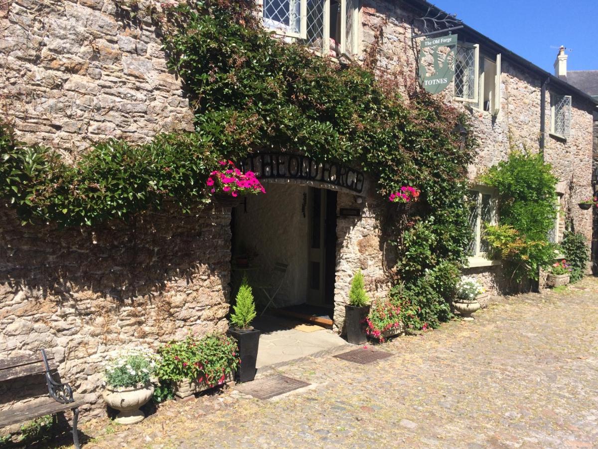 4 Family-Friendly Hotels Near Oldway Mansion Worth Booking
